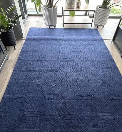 Professional Rug Cleaning Service