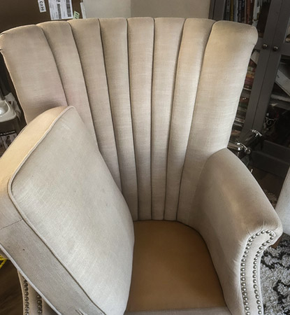Professional Upholstery Cleaning Service